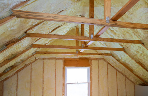 Best Professional Insulation Contractor  in Fort Pierre, SD